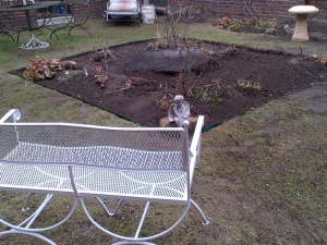Dormant season - first bed, centre square bed